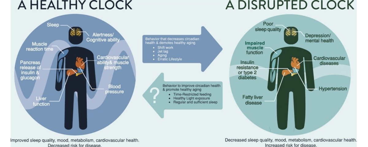 circadian health