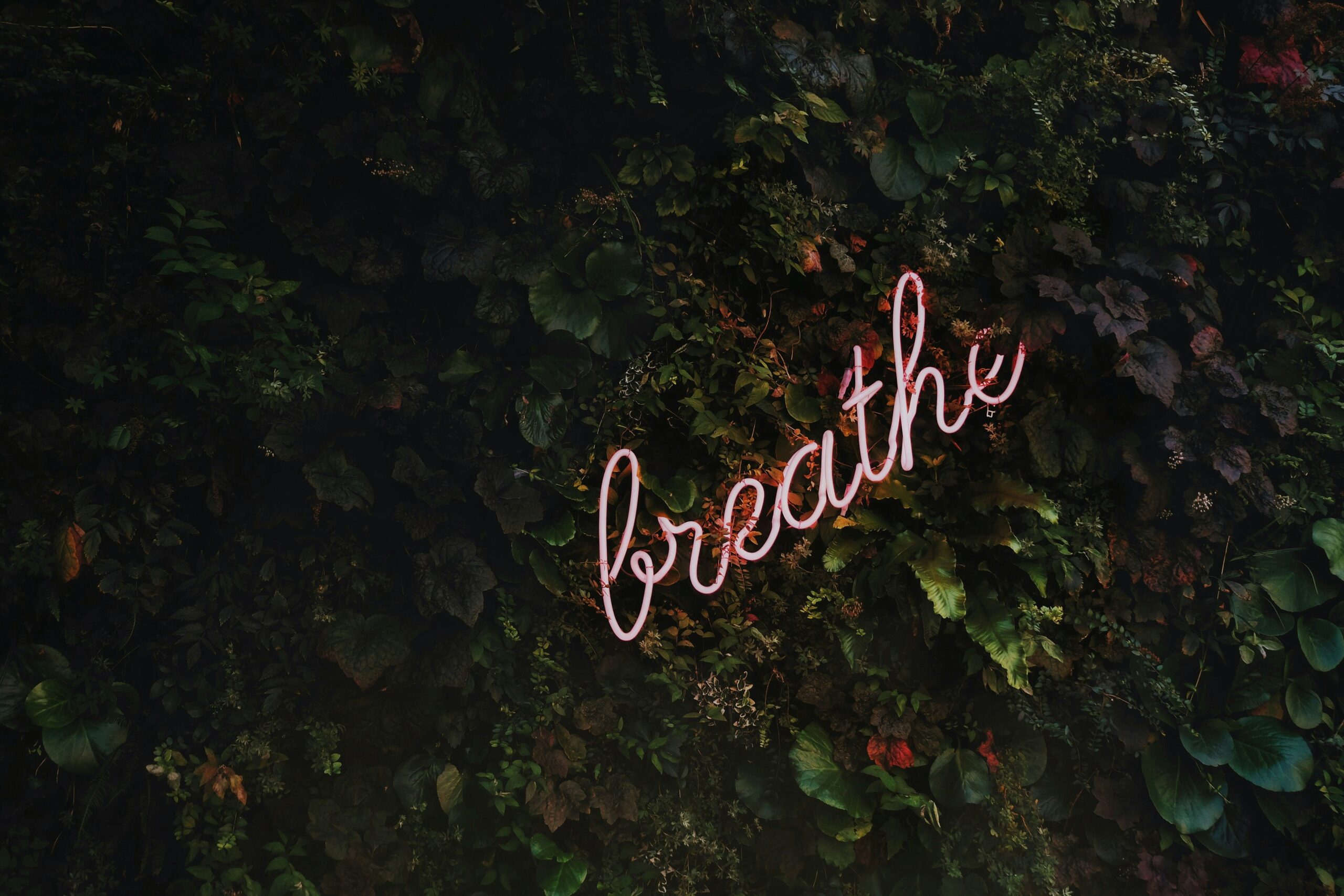 mindful listening