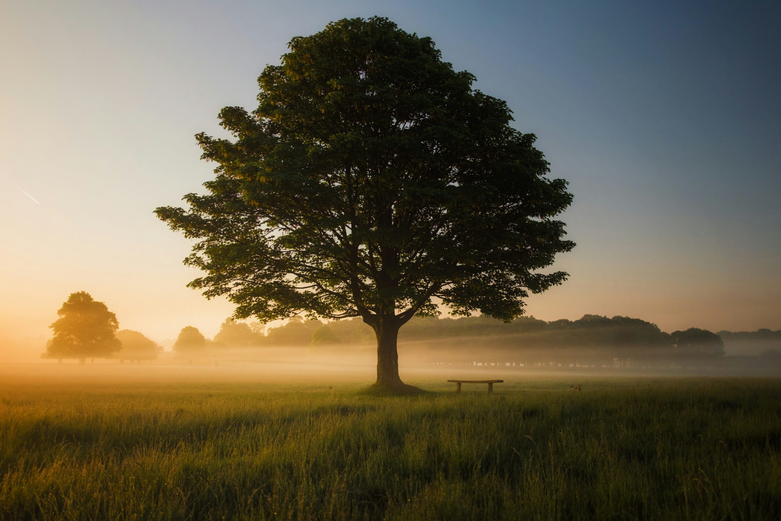 mindful listening