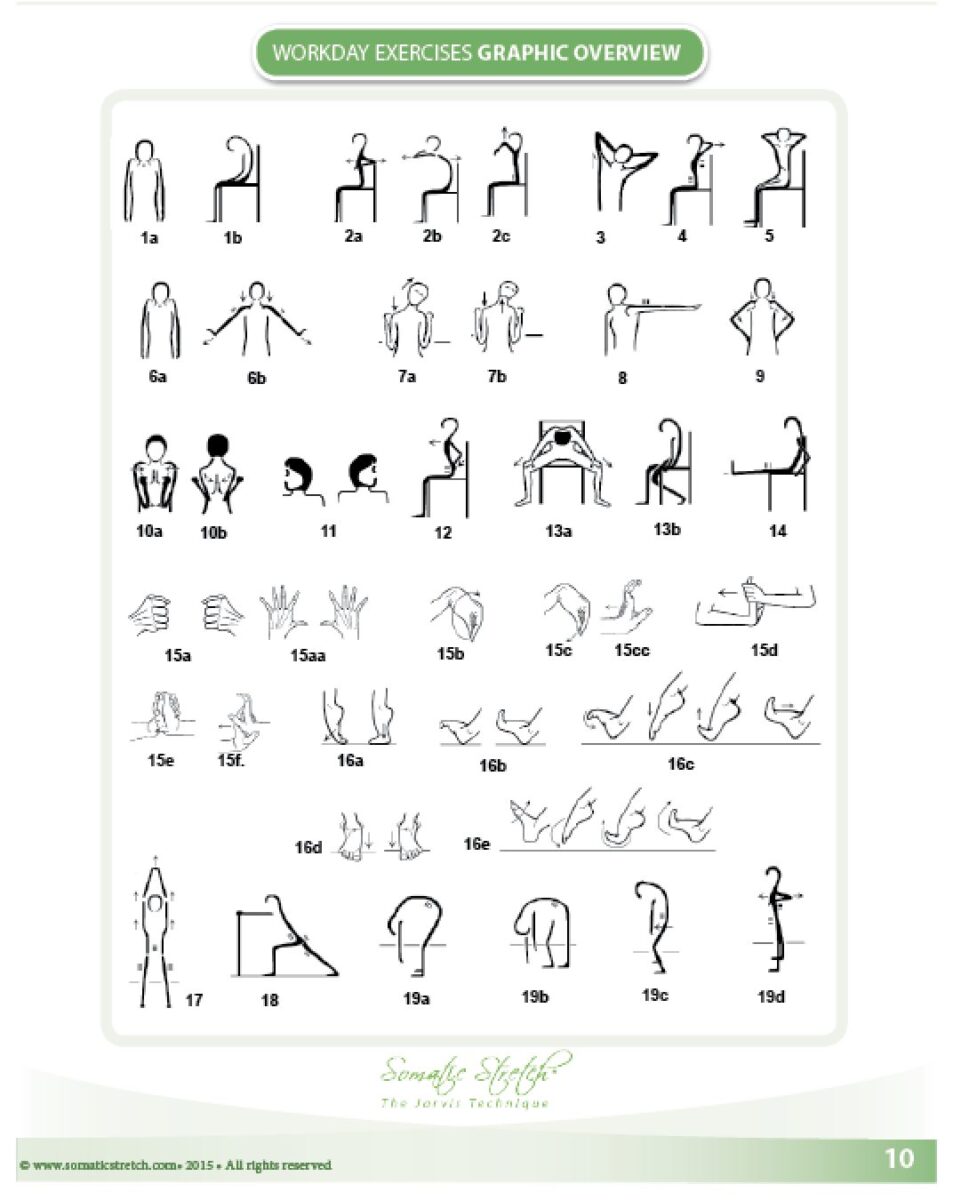 somatic stretching