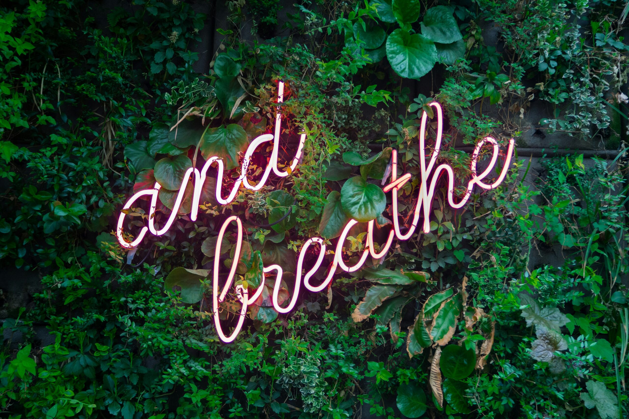 somatic wellness
