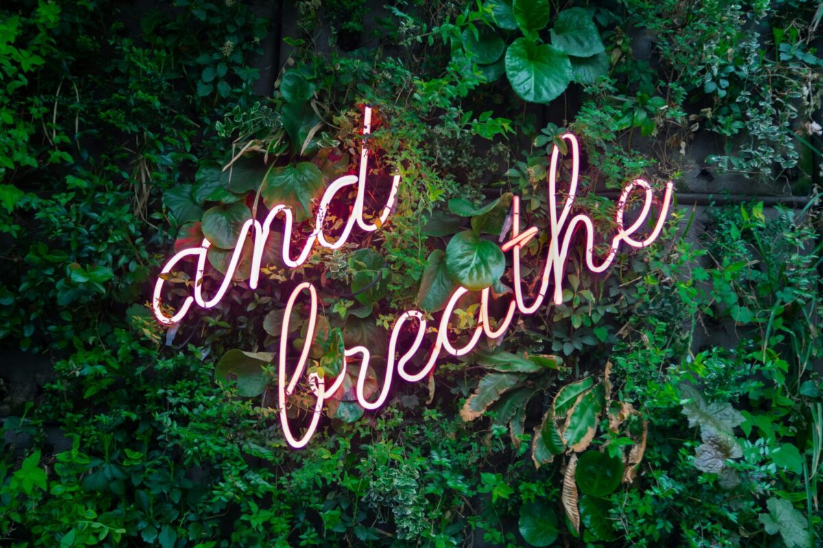 somatic wellness