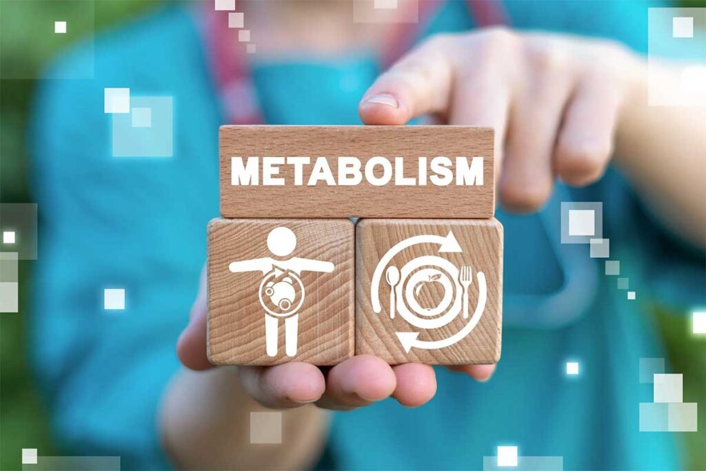 Men's Metabolic Mastery: Conquering Stubborn Fat & Energy Plateaus