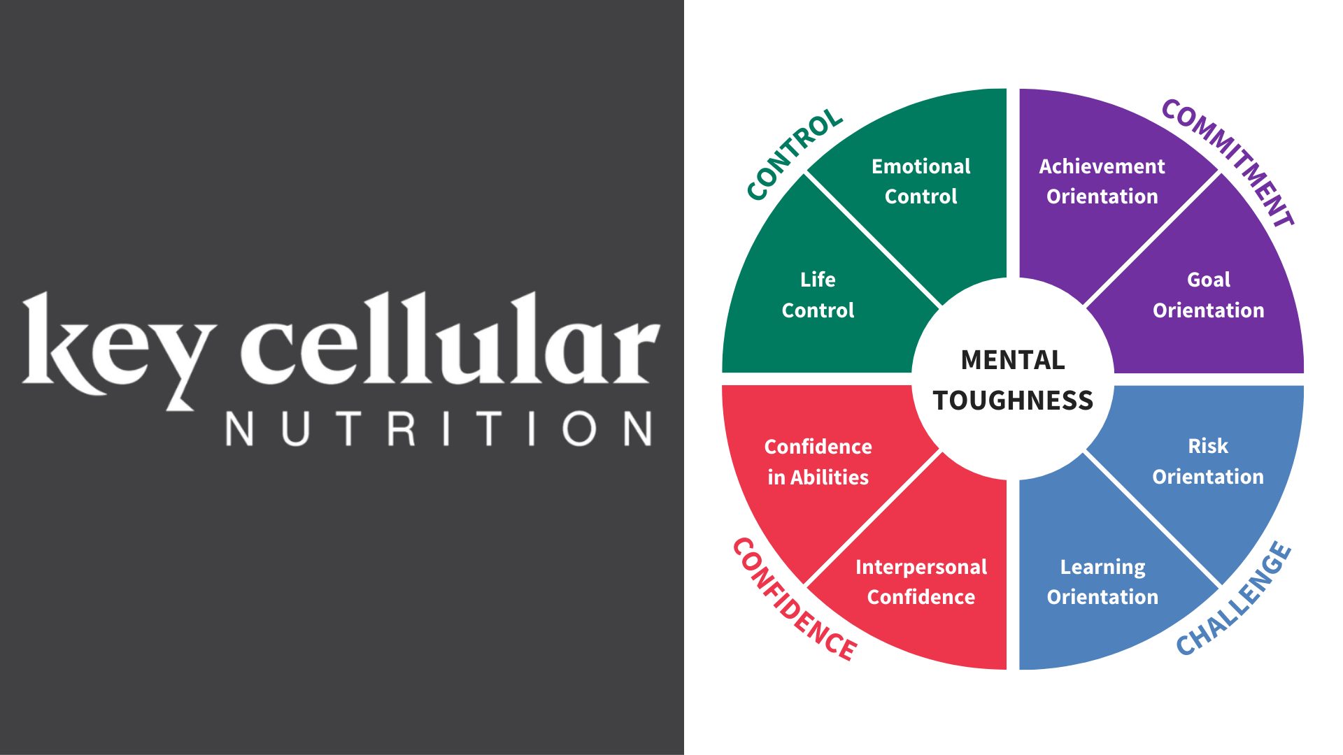 cellular nutrition